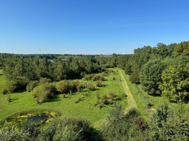 Bij Het Bos 