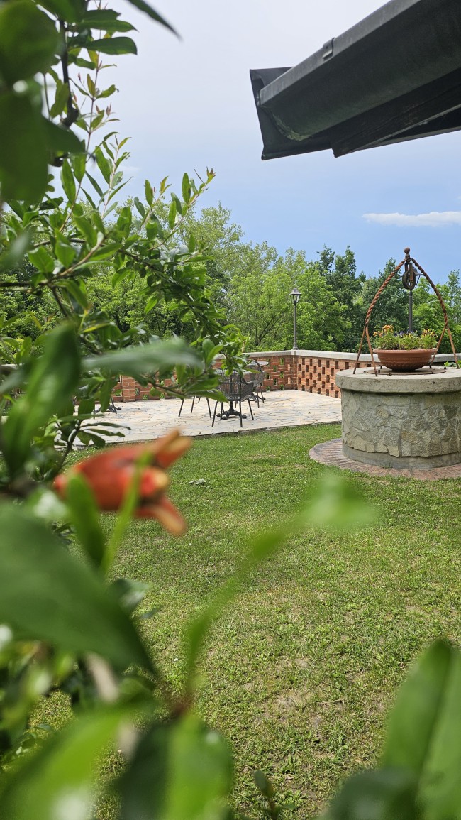 Villa Fonte 