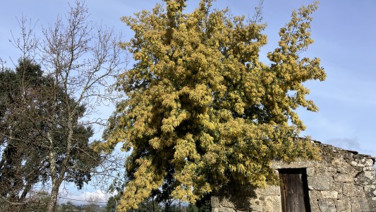 Quinta da Encavalada 
