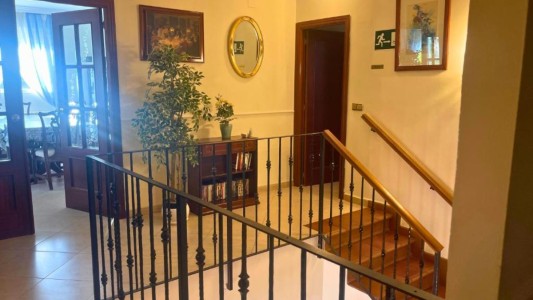 Casa flamenca de Granada 