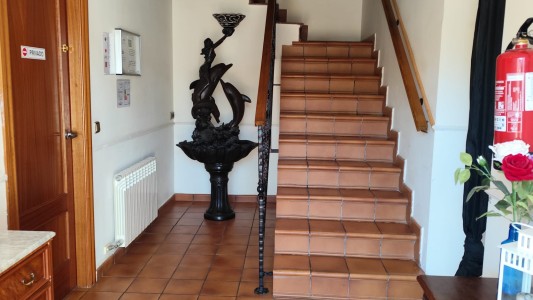 Casa flamenca de Granada 