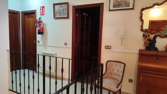 Casa flamenca de Granada 