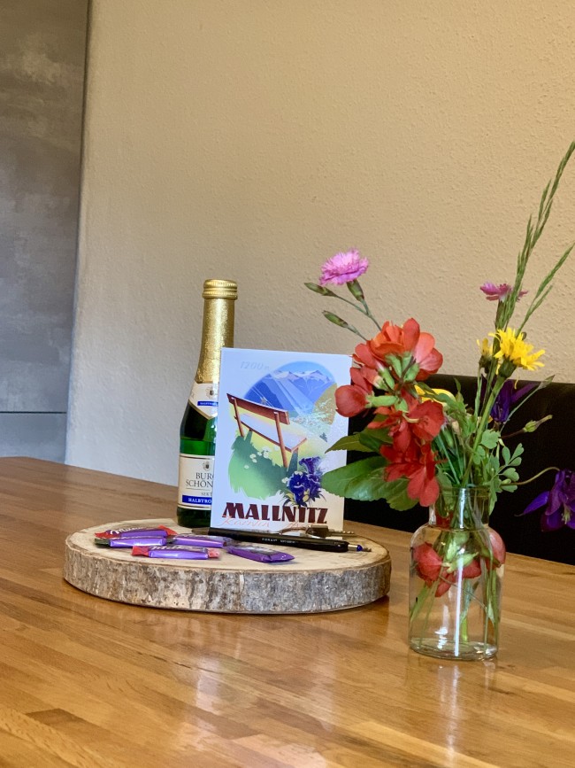 Apartmenthaus Carinthia Mallnitz - AHCM 