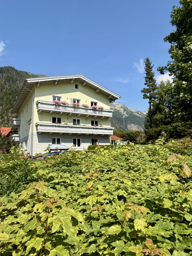 Apartmenthaus Carinthia Mallnitz - AHCM 