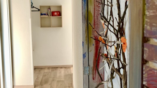 AH Carinthia Mallnitz appartements 