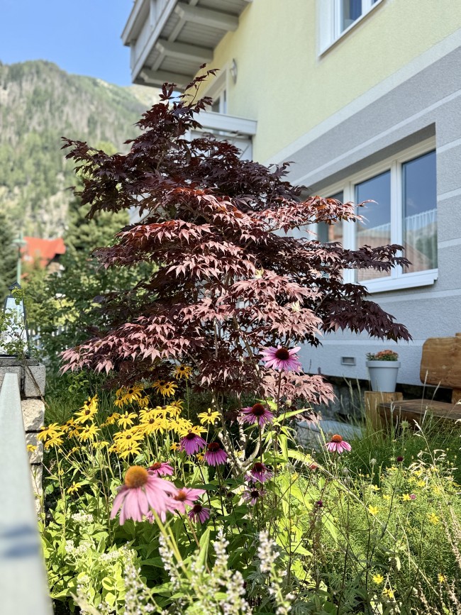 Apartmenthaus Carinthia Mallnitz - AHCM 