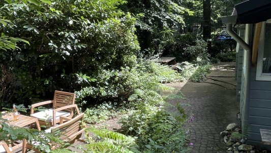 Dreamwoodz 