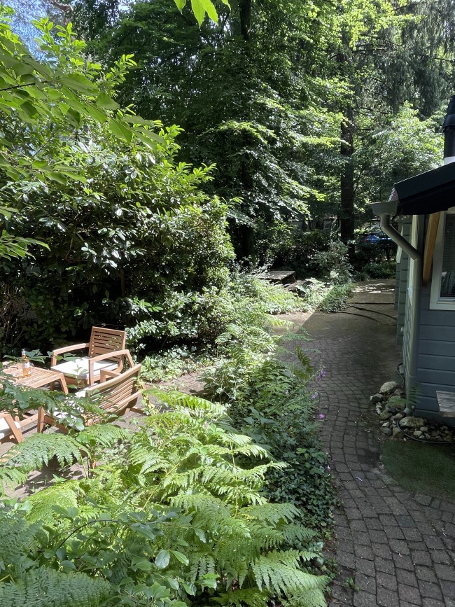Dreamwoodz 