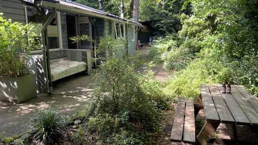 Dreamwoodz 
