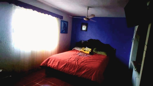 Naranja House 