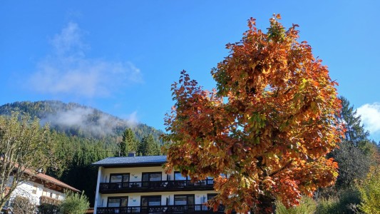 Pension Weissbriach