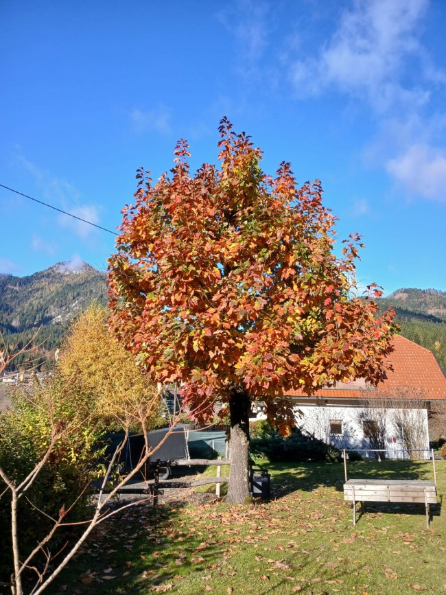 Pension Weissbriach 
