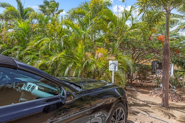 Cocoloft Curacao 