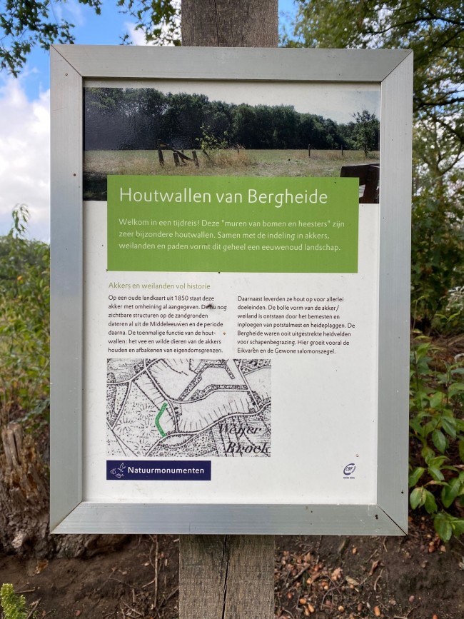 B&B Bergheide 