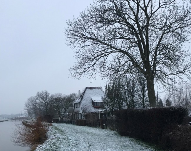Studio Wilgenhorst 