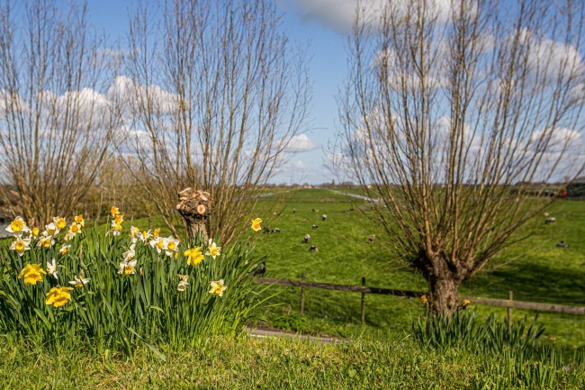Studio Wilgenhorst 