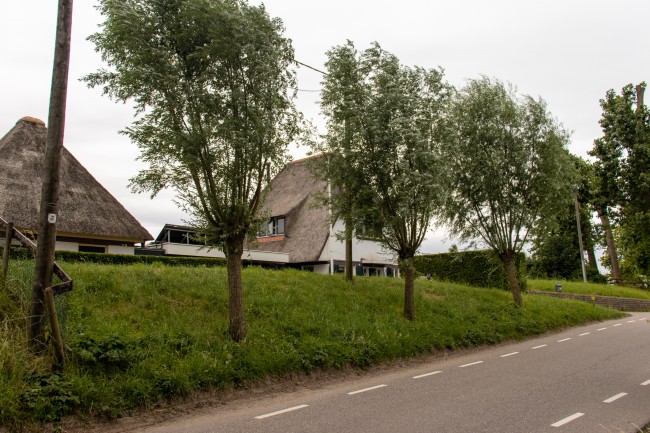 Studio Wilgenhorst 