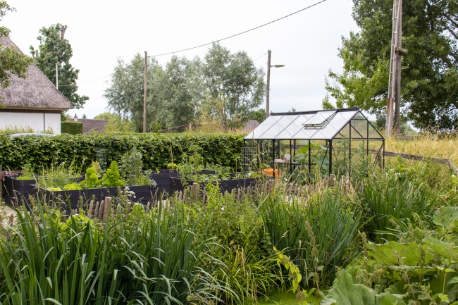 Studio Wilgenhorst 
