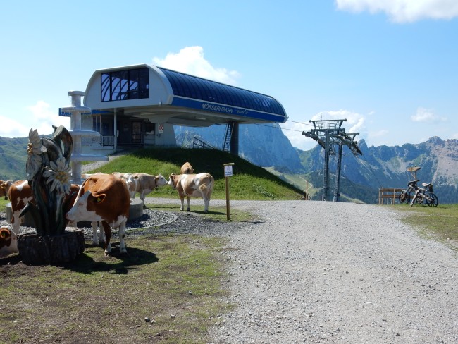 Chalet Edelweiss 