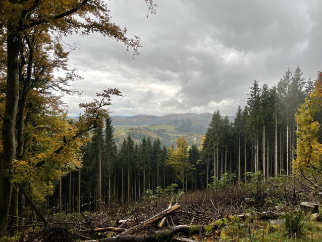 Waldhof Hochsauerland 