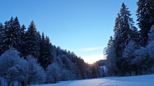 Waldhof Hochsauerland 