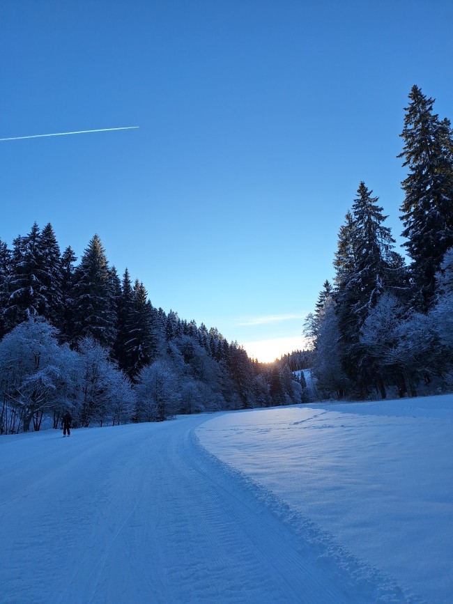 Waldhof Hochsauerland 