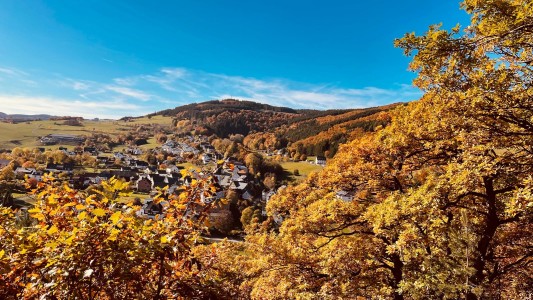 Waldhof Hochsauerland