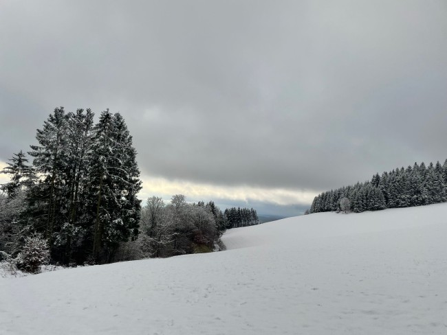 Waldhof Hochsauerland 