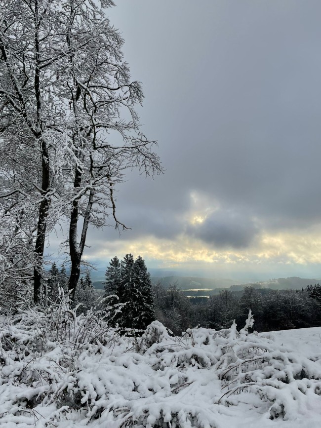 Waldhof Hochsauerland 
