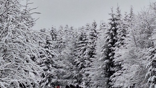 Waldhof Hochsauerland 