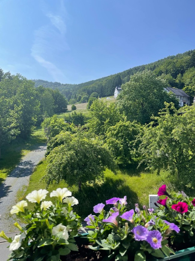 Waldhof Hochsauerland 