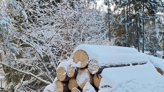 Waldhof Hochsauerland 