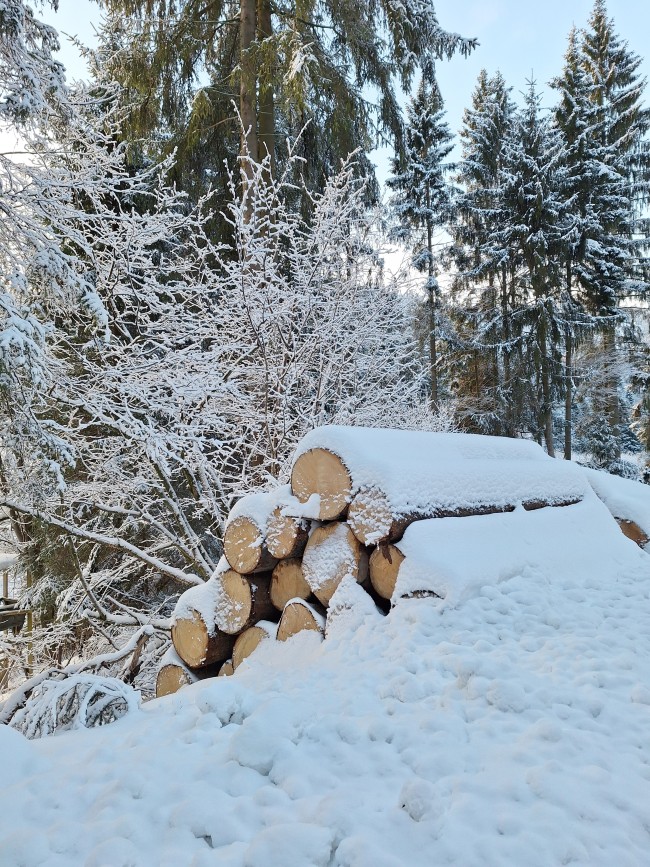 Waldhof Hochsauerland 