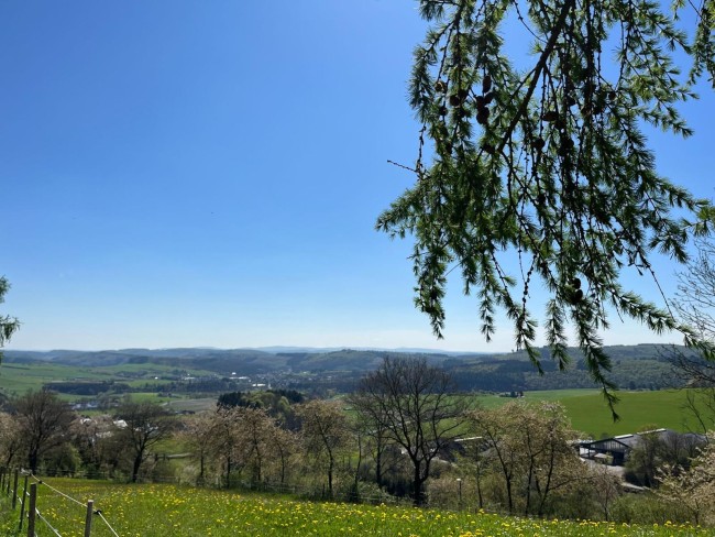 Waldhof Hochsauerland 