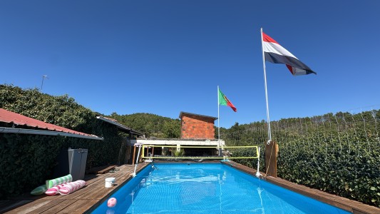 Viva sua Vida 