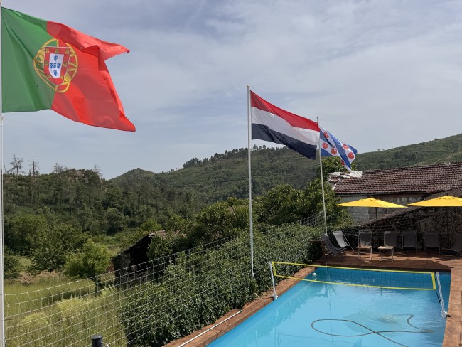 Viva sua Vida 