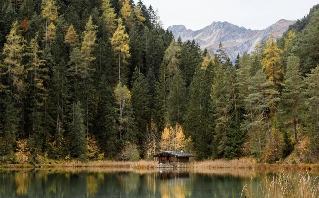 Chalet Zur Rose 