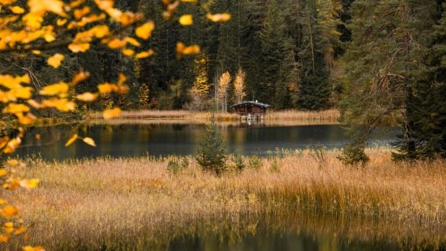 Chalet Zur Rose 
