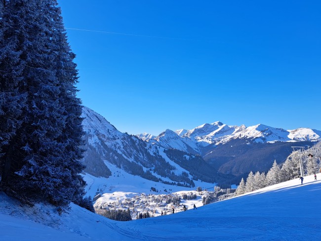 Chalet Zur Rose 