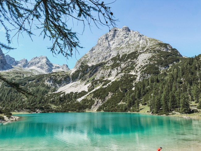 Chalet Zur Rose 