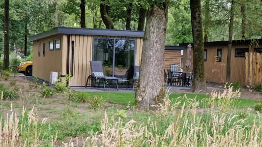 Wood 386 EDE