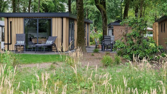 Wood 386 EDE