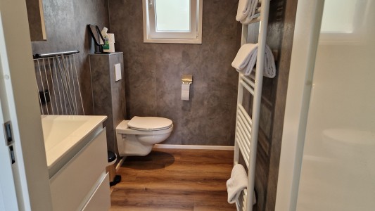 Wood 386 EDE