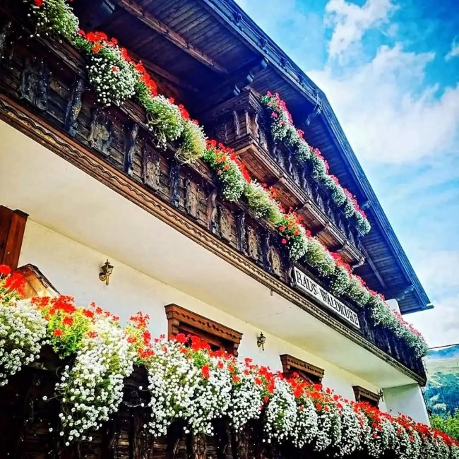 Haus Waldruhe 