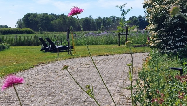 Country Suite Den Oord 