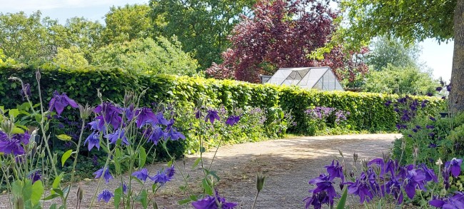 Country Suite Den Oord 