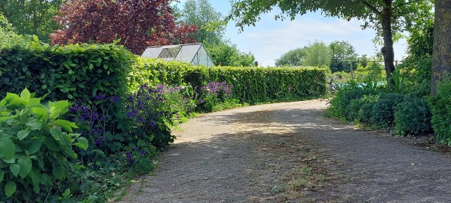 Country Suite Den Oord 