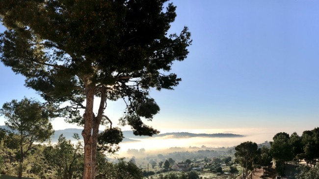 FINCA EL OTERO 