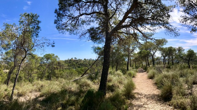 FINCA EL OTERO 
