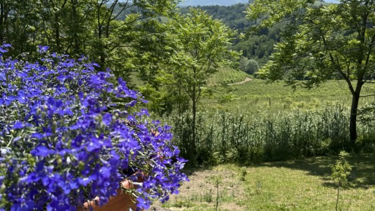 appartement Barbera 